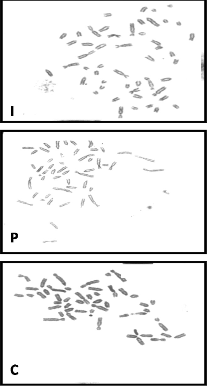 FIG. 10.