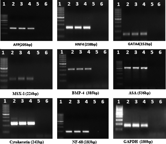 FIG. 8.