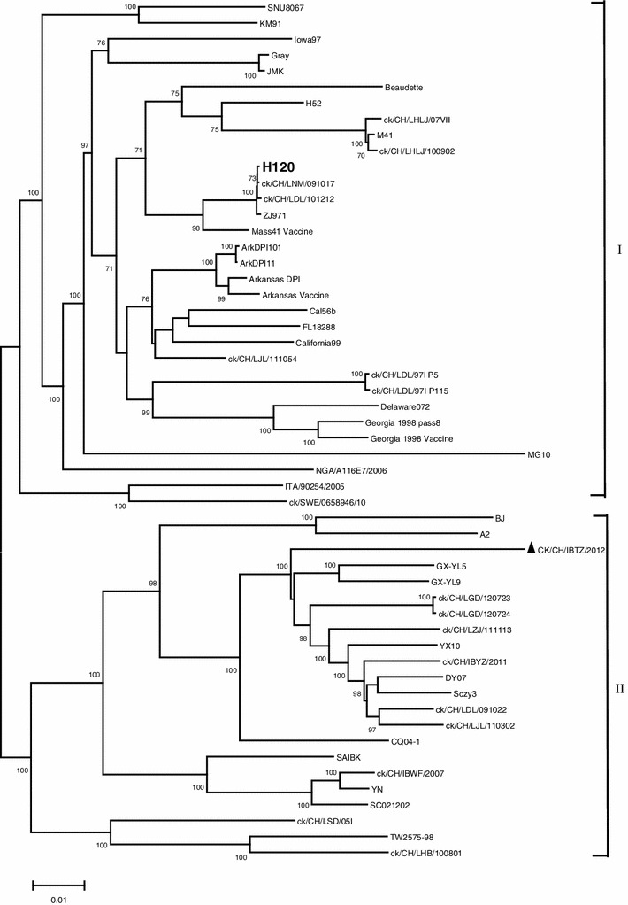 Fig. 1