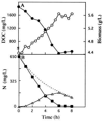 FIG. 6