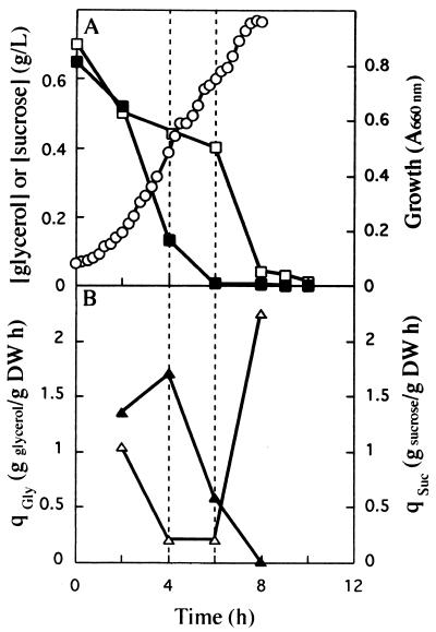 FIG. 1