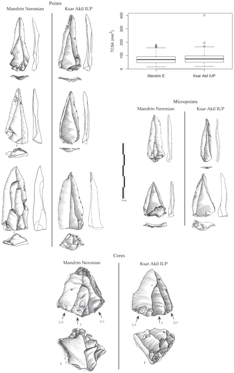 Fig. 9.