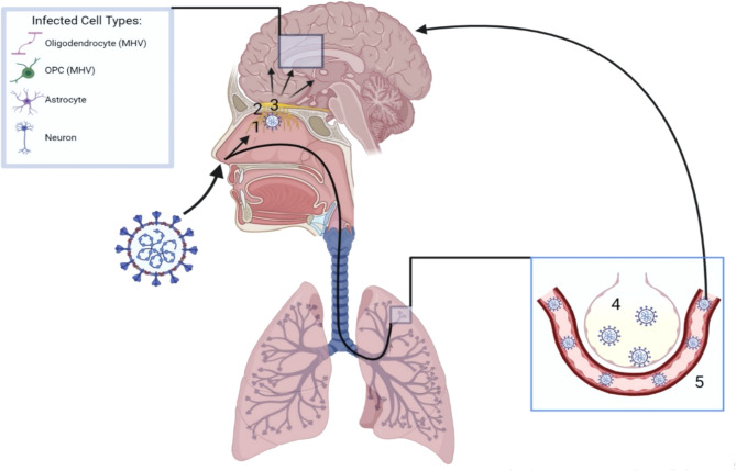 Figure 1