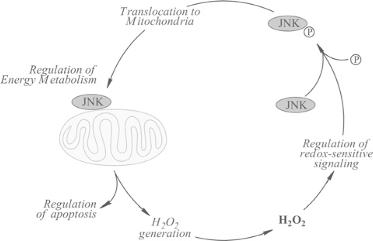 Figure 1 |