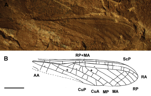 Figure 5.