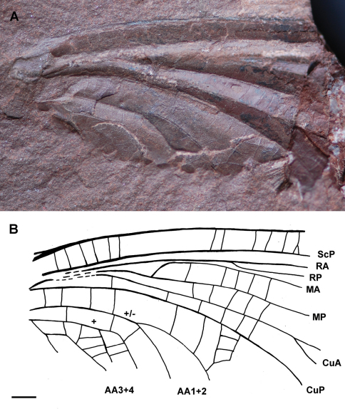 Figure 1.