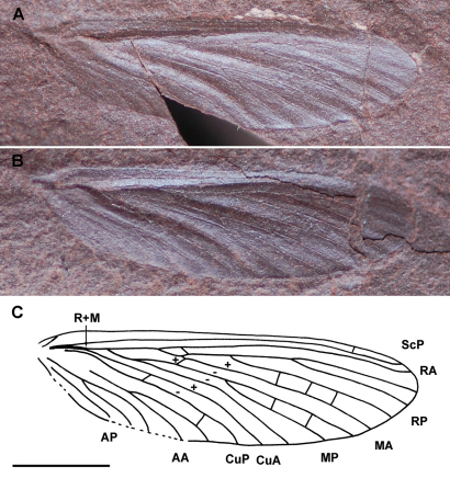 Figure 4.