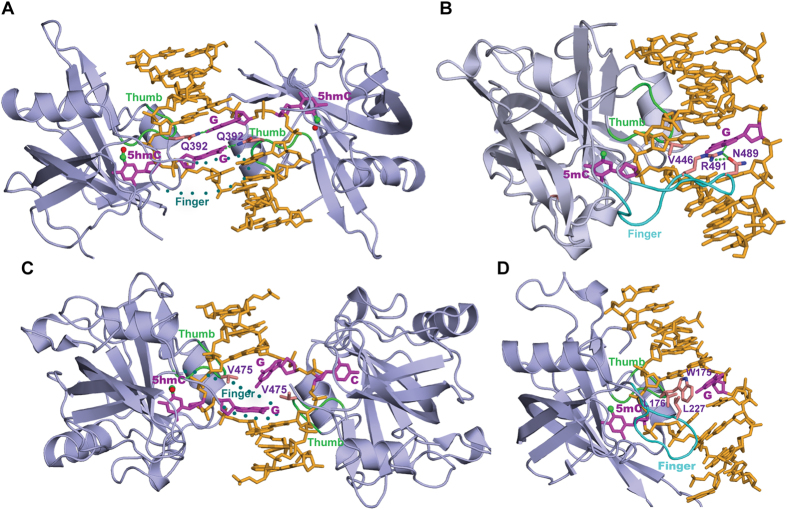 Figure 5