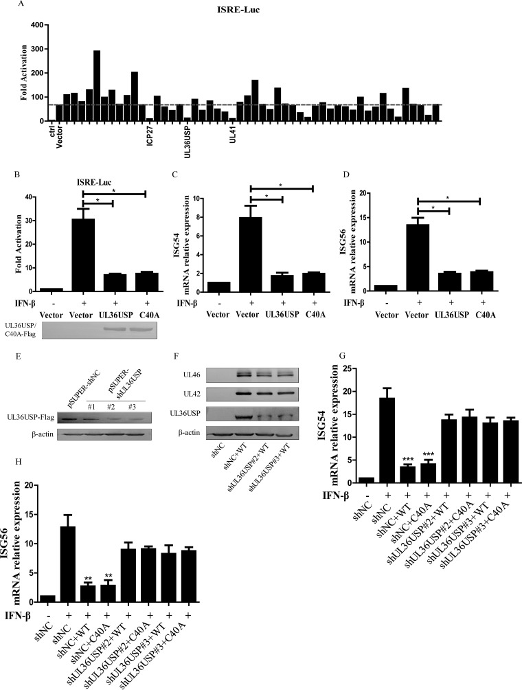 FIG 1