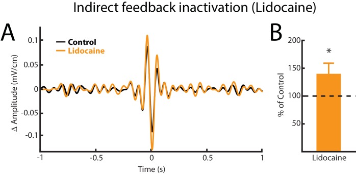 Figure 5—figure supplement 1.