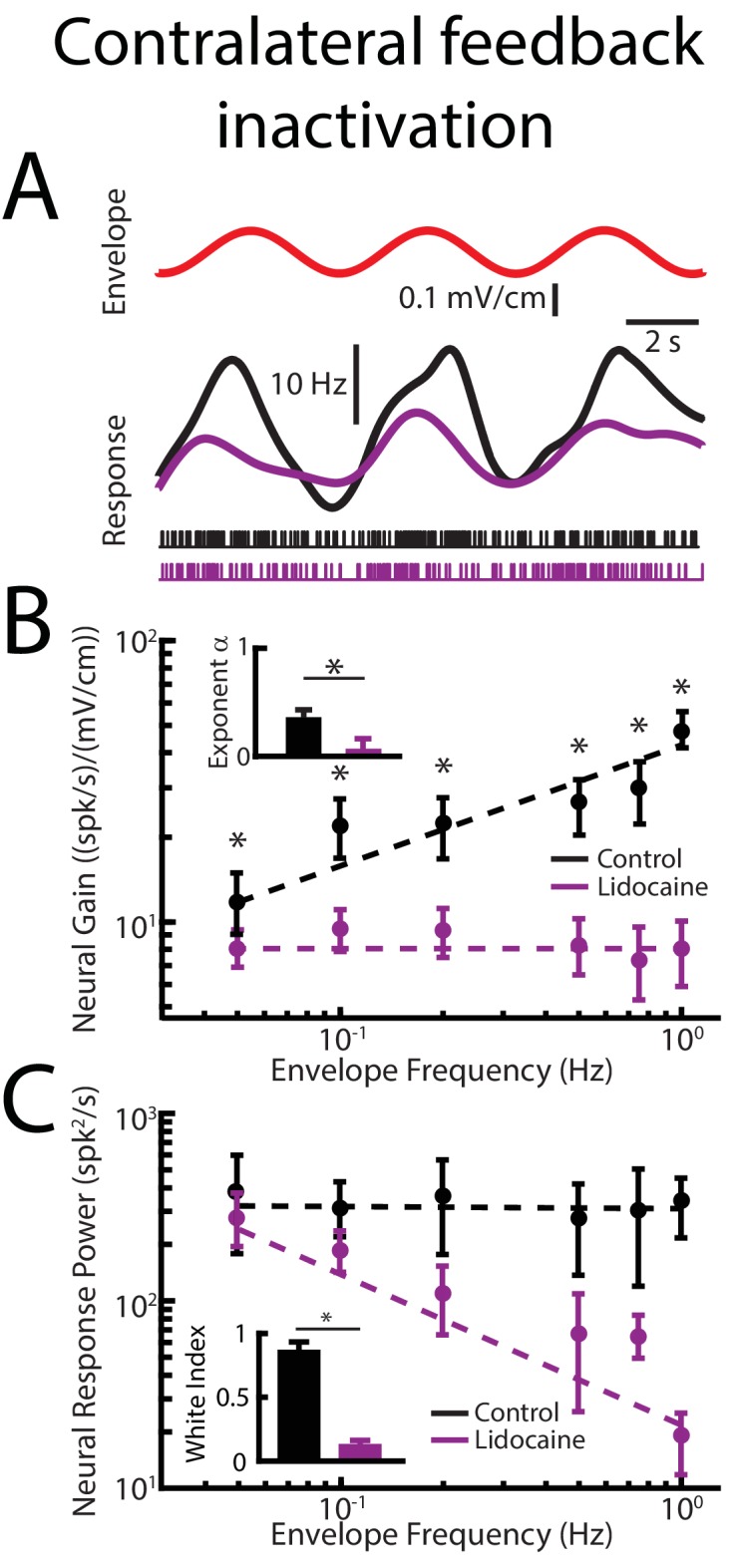 Figure 4—figure supplement 3.