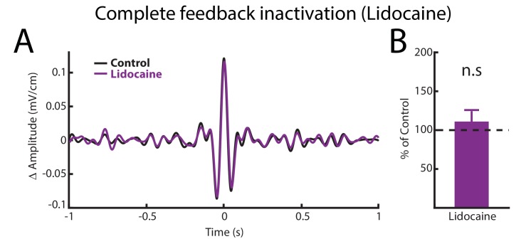 Figure 4—figure supplement 1.