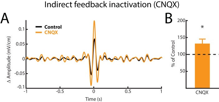 Figure 5—figure supplement 3.