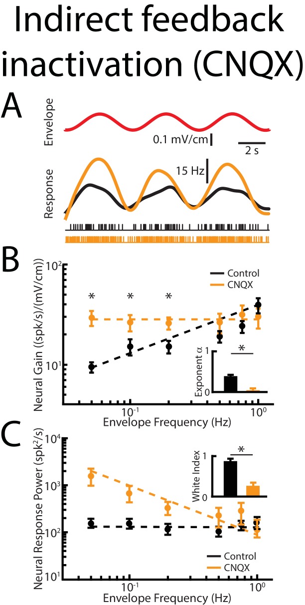 Figure 5—figure supplement 2.