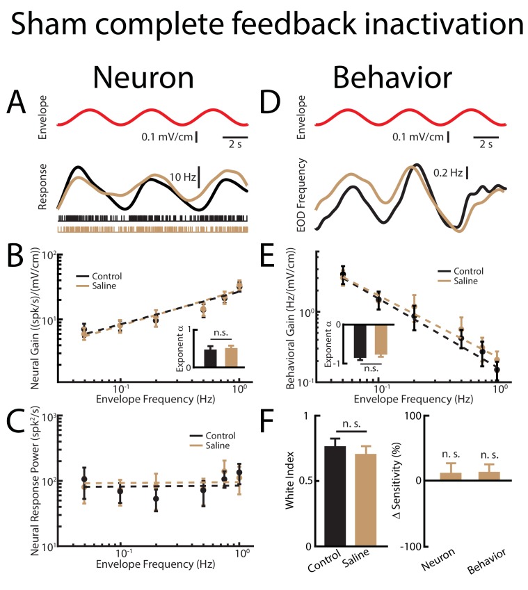 Figure 4—figure supplement 2.