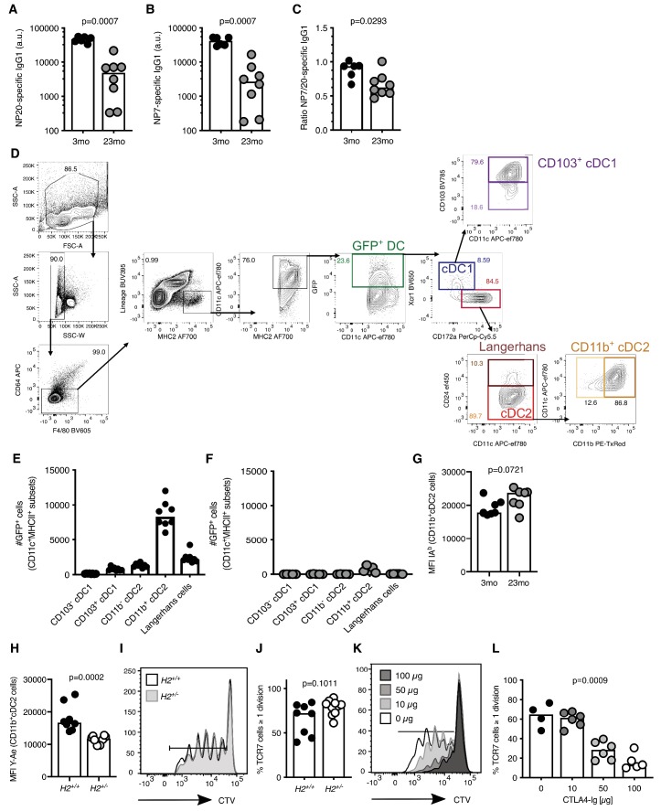 Figure 3—figure supplement 1.