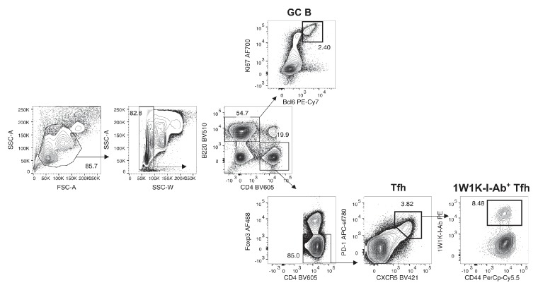 Figure 2—figure supplement 1.