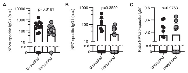 Figure 8—figure supplement 1.