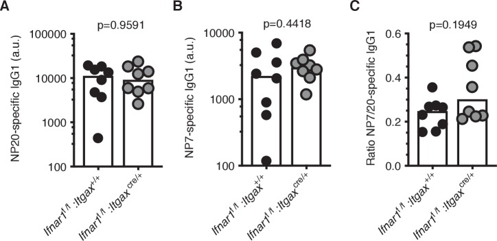 Figure 6—figure supplement 1.