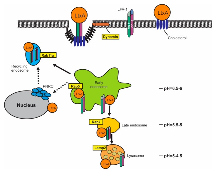 Figure 10