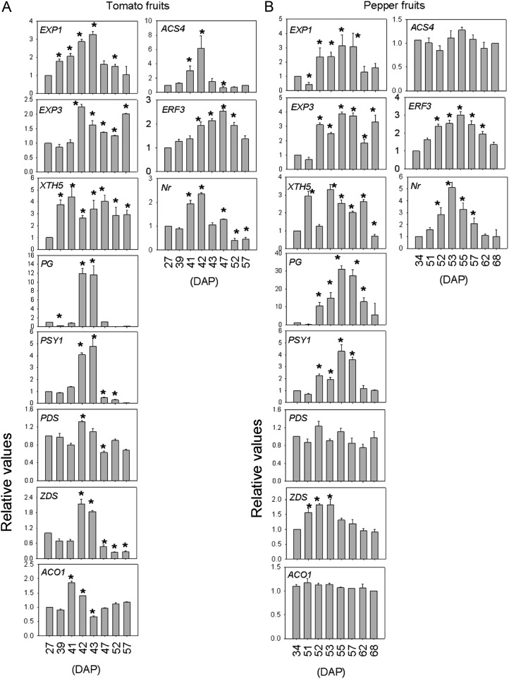 Figure 6.