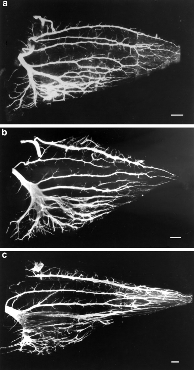 Fig. 9.