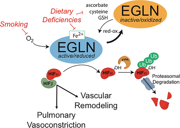 Figure 3: