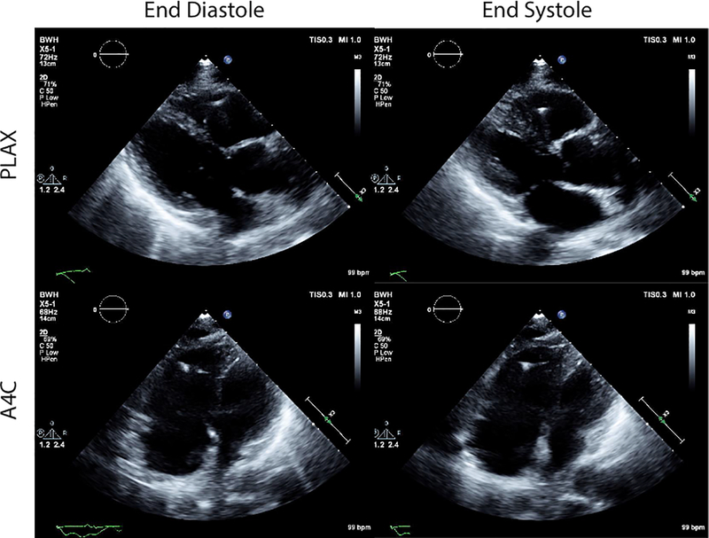 Figure 1: