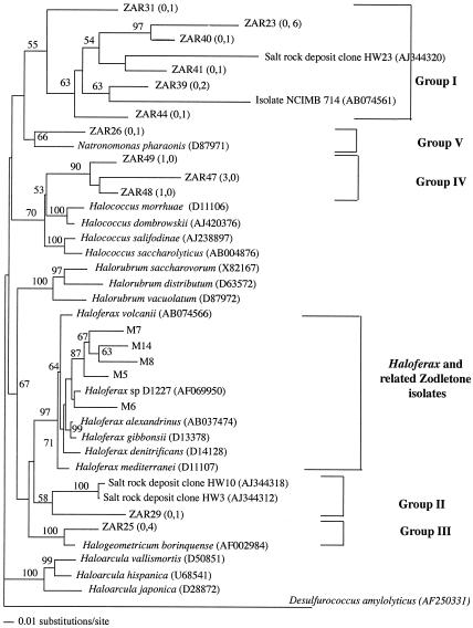 FIG. 4.