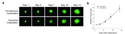 Supplementary figure 1. 