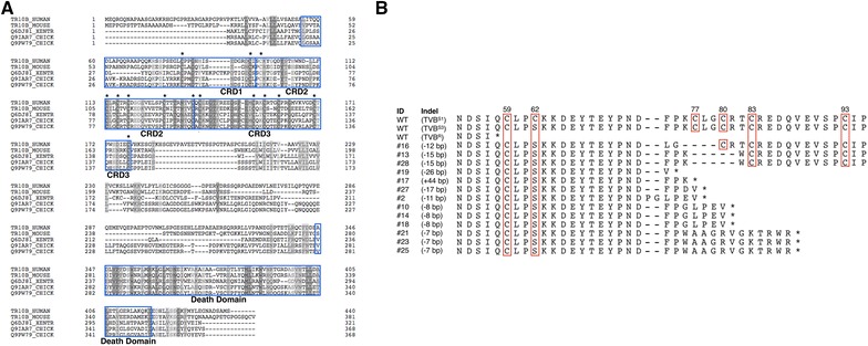 Figure 4