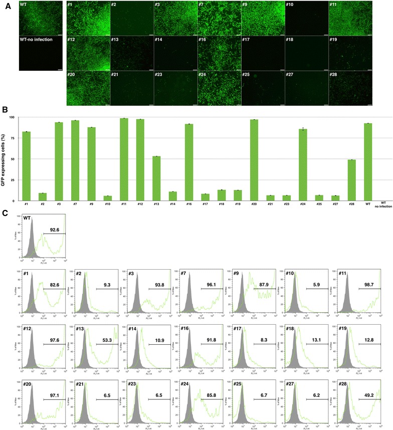 Figure 3