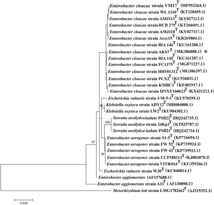 Fig. 2