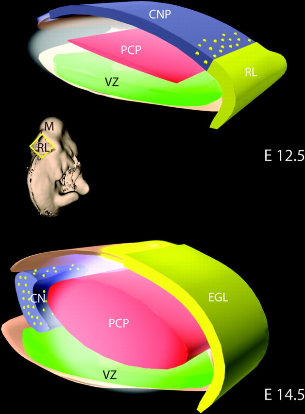 Figure 10.