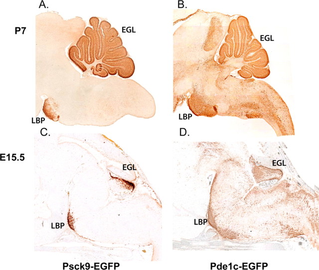 Figure 9.