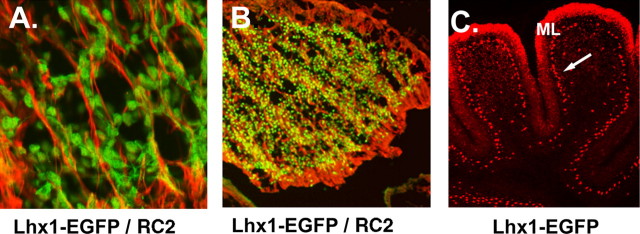 Figure 6.