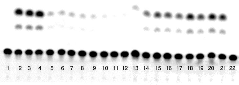 FIG. 7