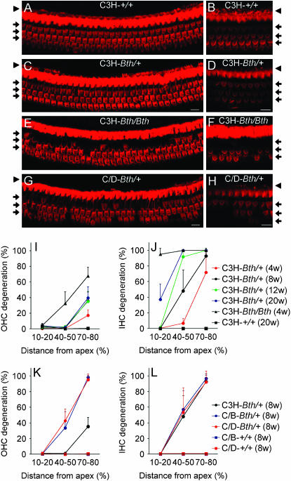 Figure 2.—