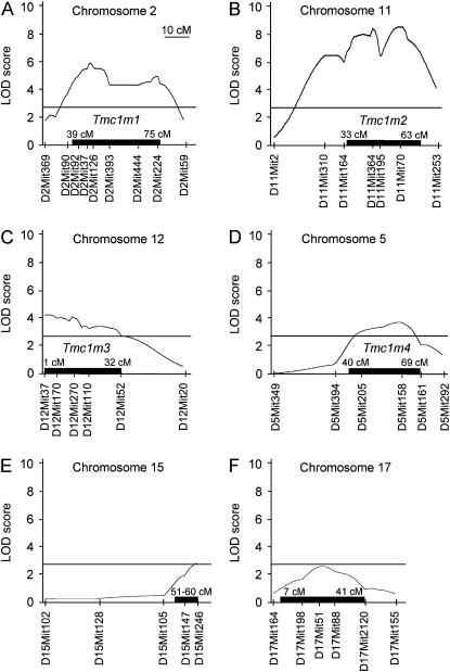 Figure 6.—