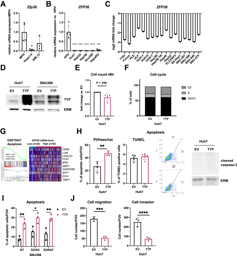 Figure 6