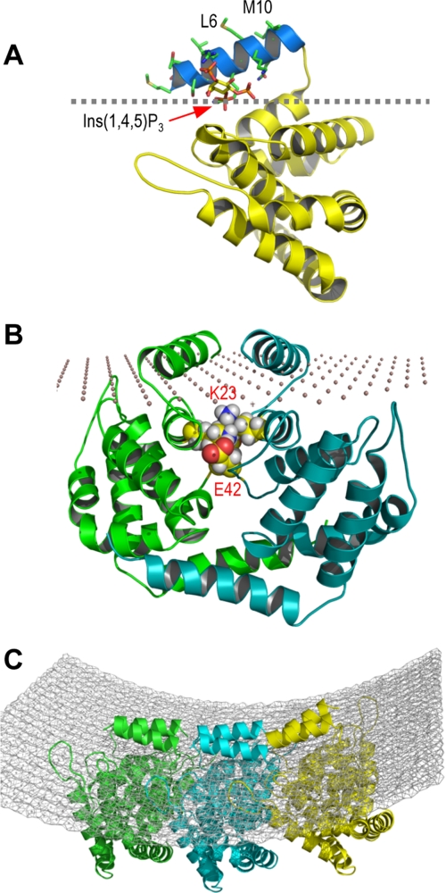 FIGURE 3.