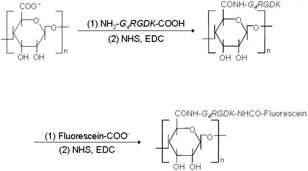 Fig. 16