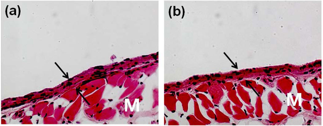 Fig. 17