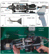 Fig. 2.