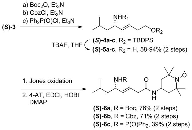 Scheme 2