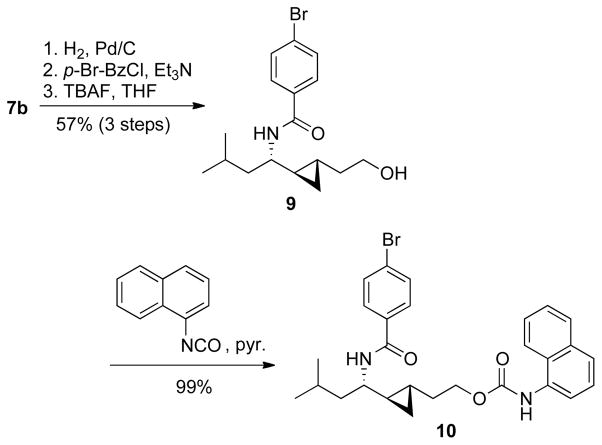 Scheme 5