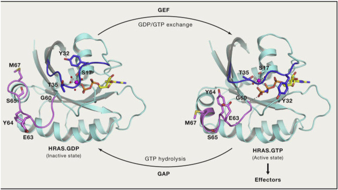 FIGURE 3