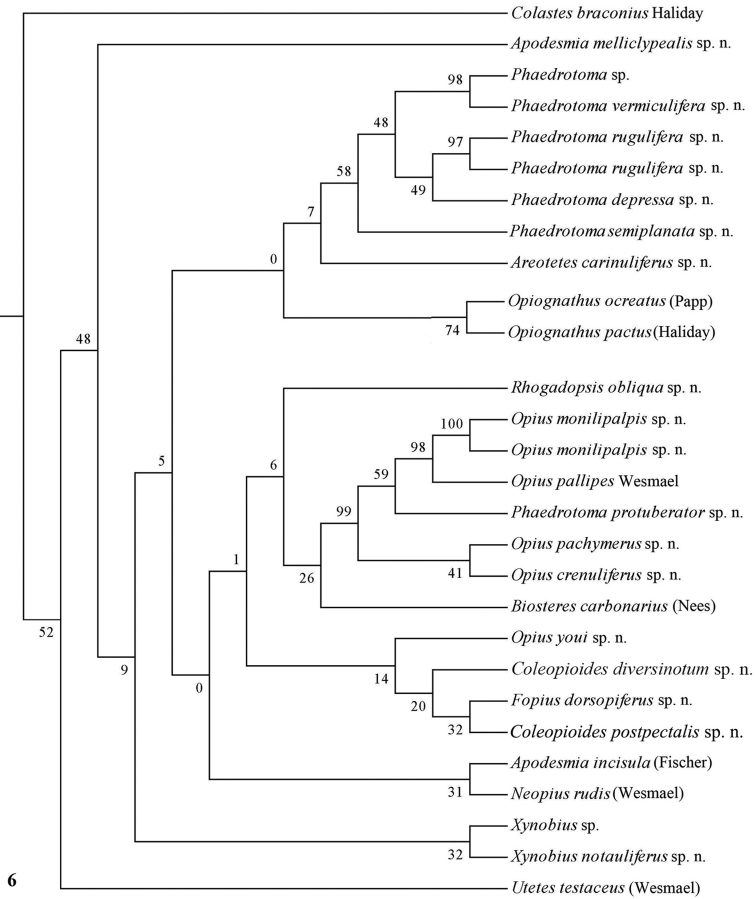 Figure 6.