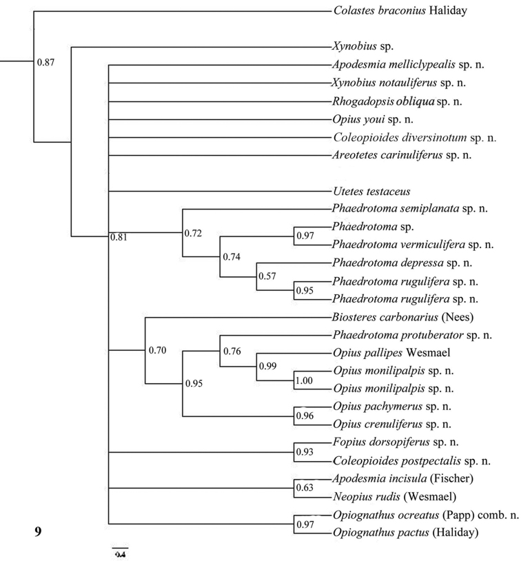 Figure 9.