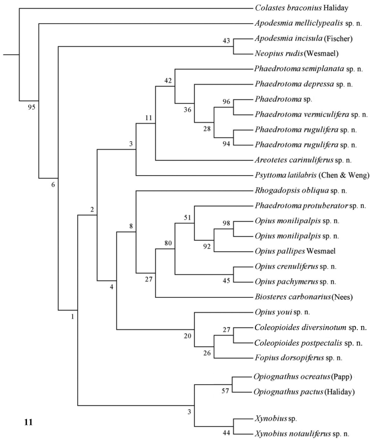 Figure 11.